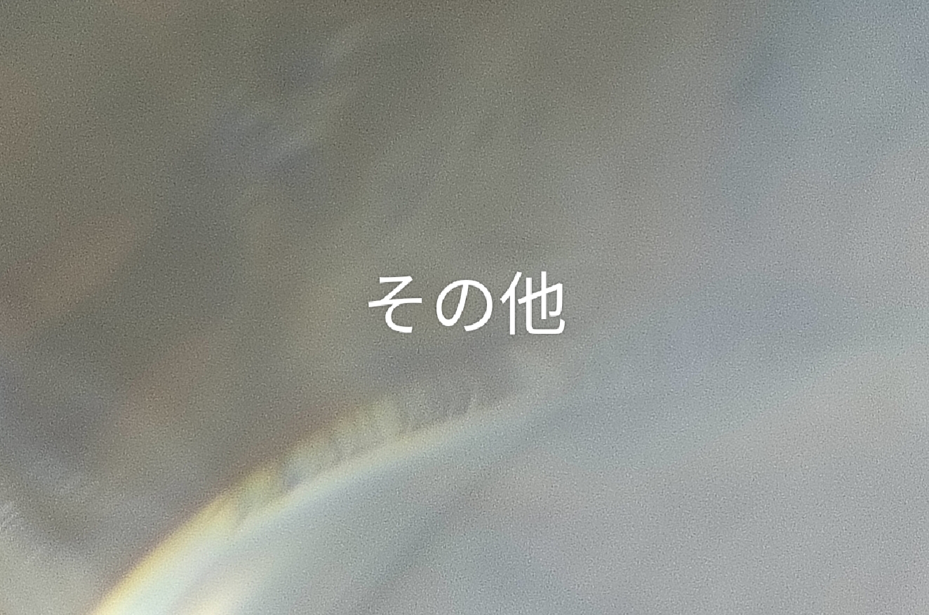 その他
